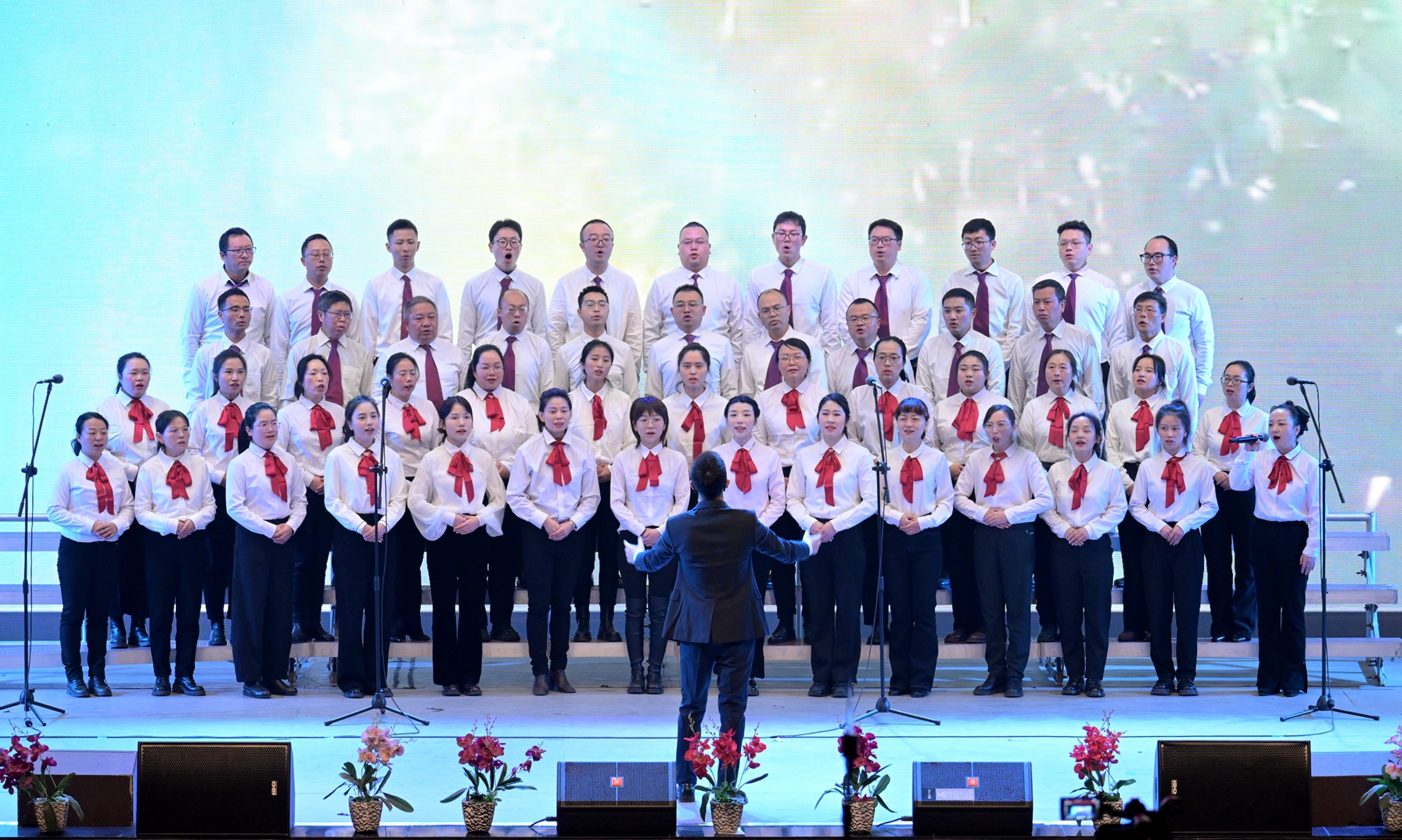 DSC_8721_副本_副本.jpg DSC_8721_副本_副本.jpg