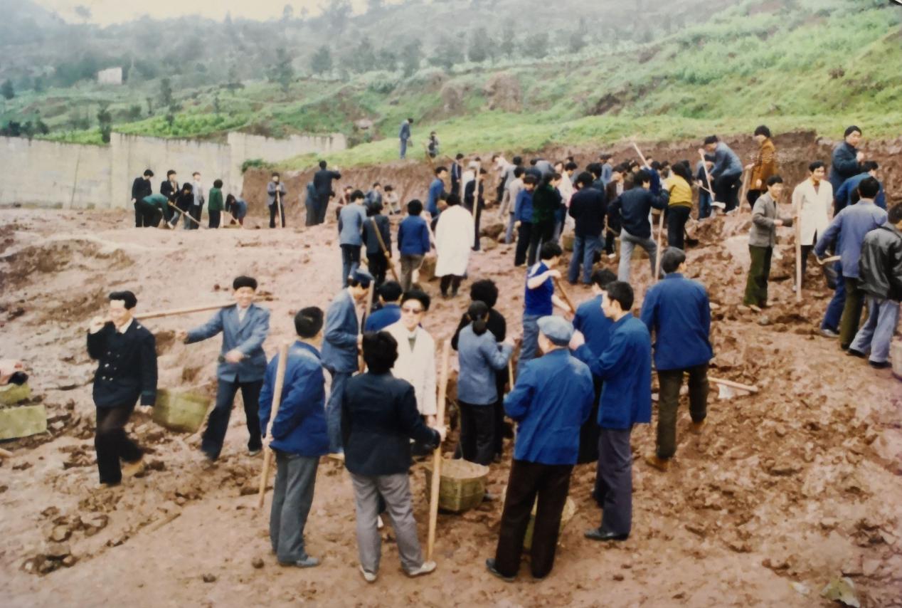 图片40.jpg 图片40.jpg